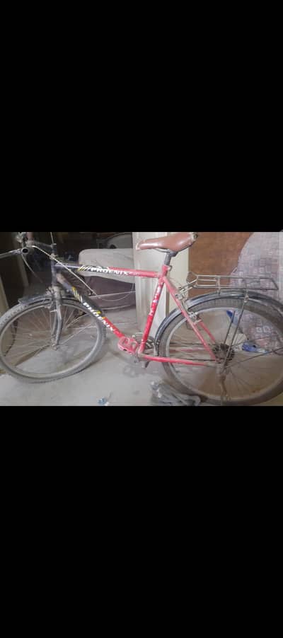 bicycle available for selling