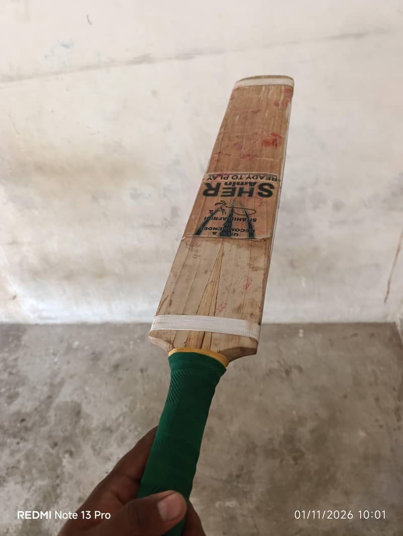 Cricket bat 1