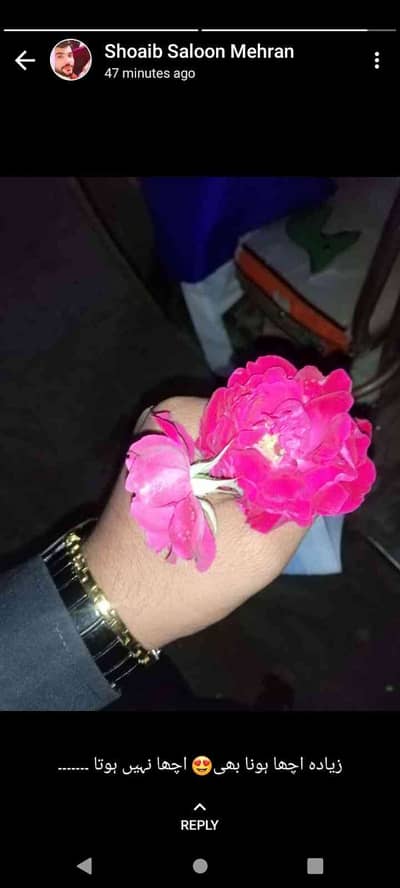 Shoaib