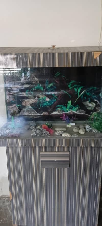 Complete Aquarium Set with Stand – Perfect for Home Decor