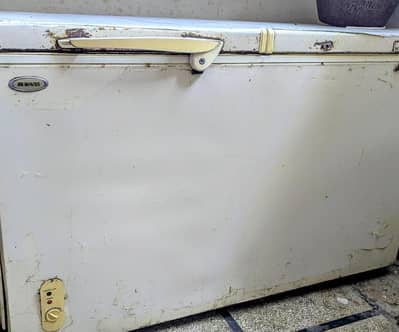 Waves 2 door deep freezer