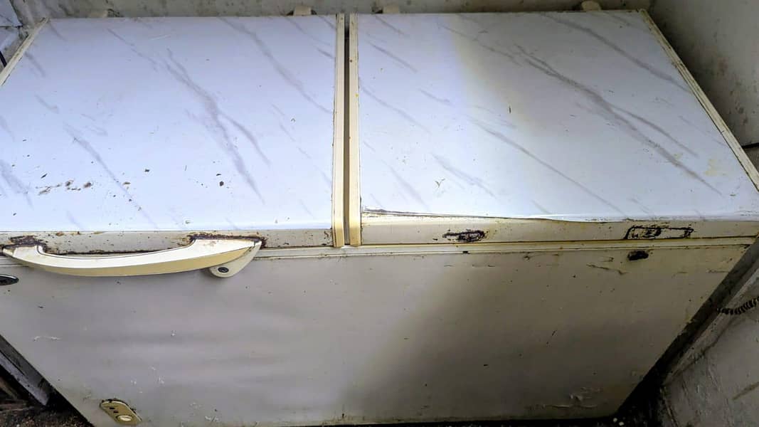 Waves 2 door deep freezer 1