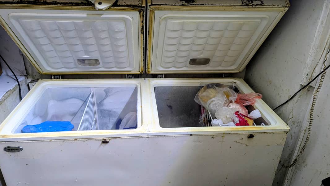 Waves 2 door deep freezer 2