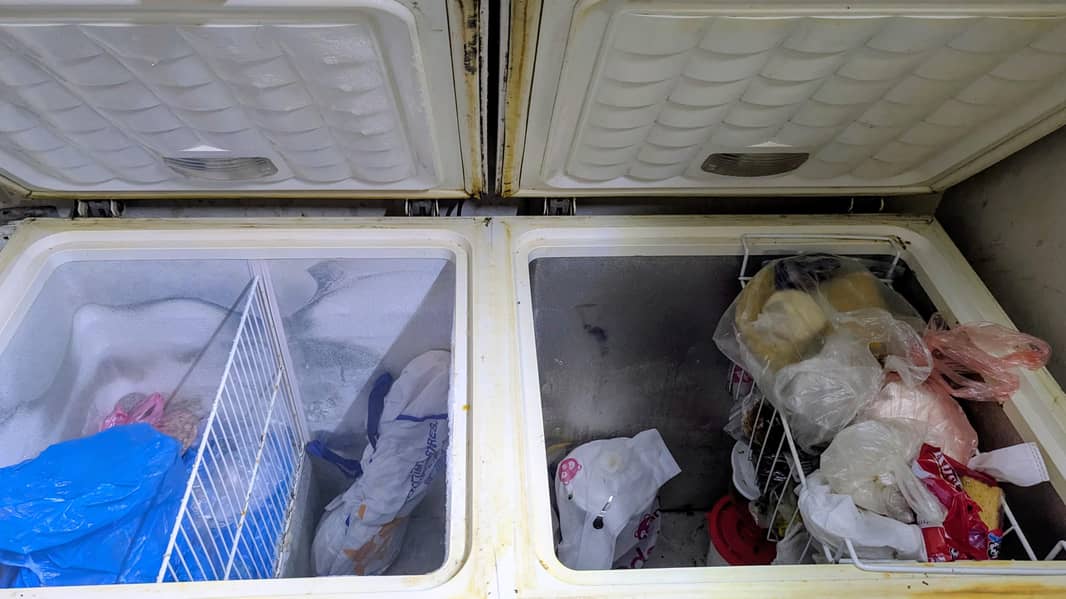 Waves 2 door deep freezer 3