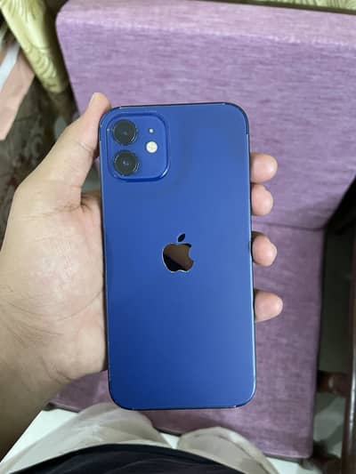 Apple iPhone 12