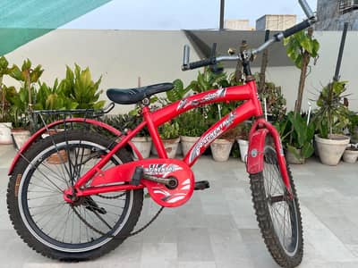 Continental bicycle For kids
