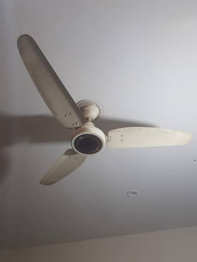 Royal Ceiling Fans