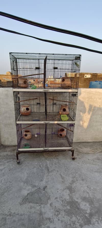 Australians birds cage