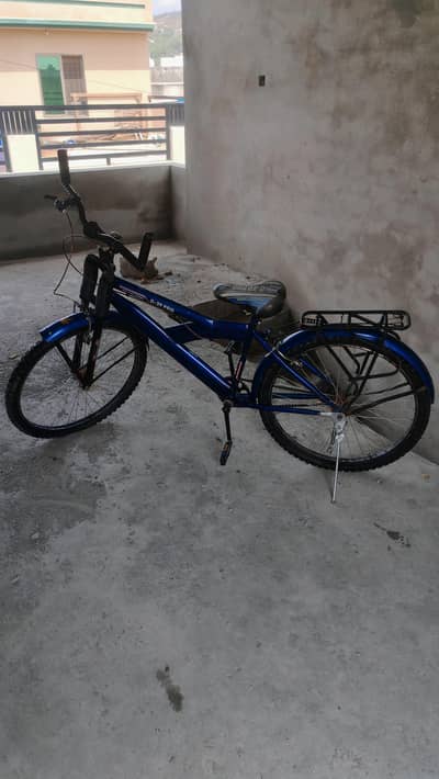 Sumac bicycle