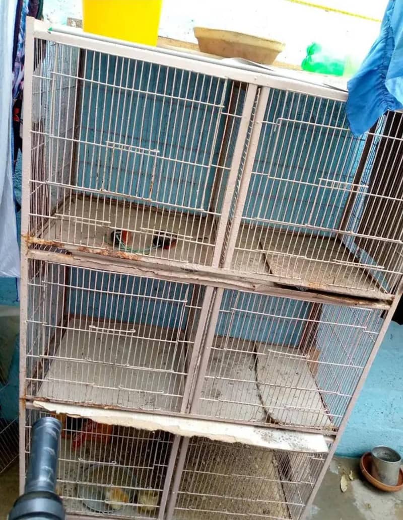 cages 1