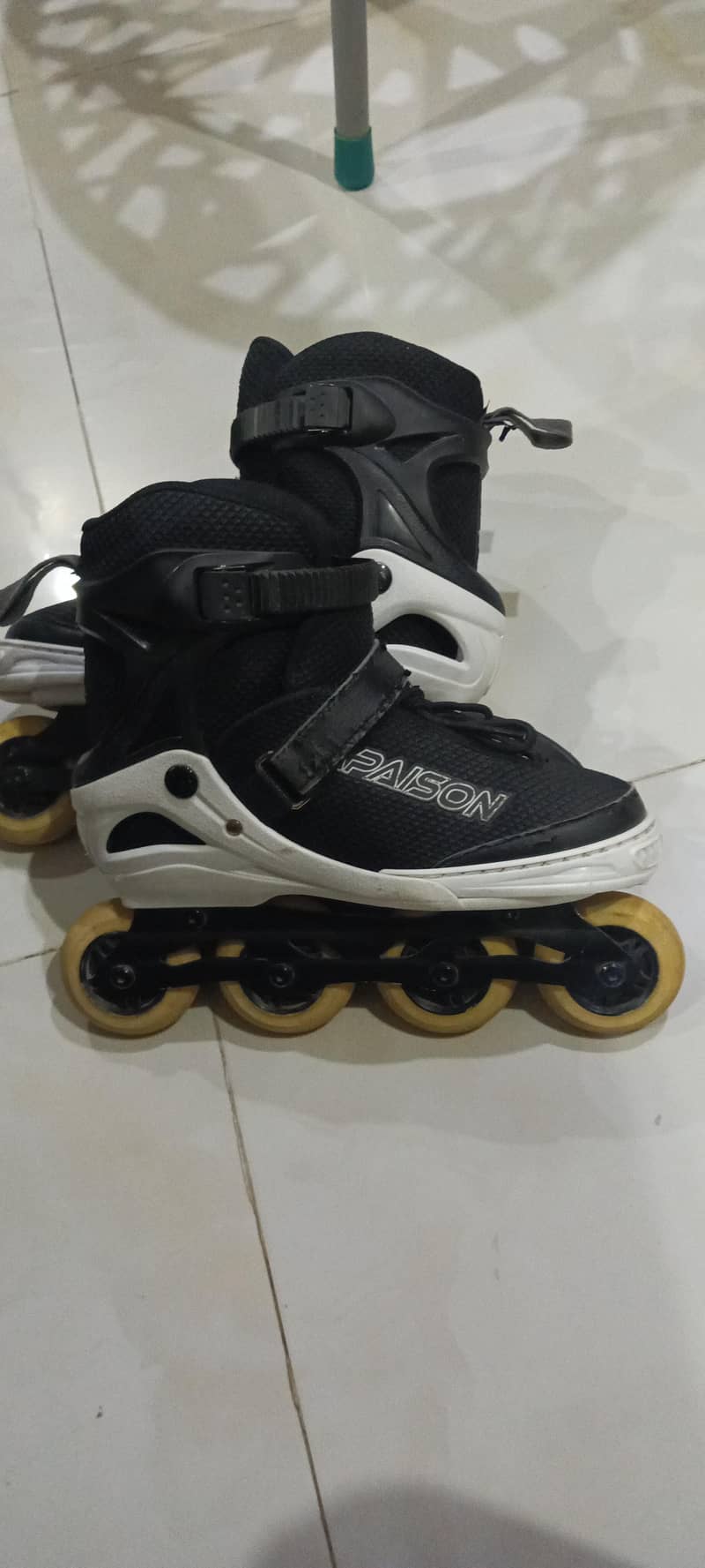 skates 1