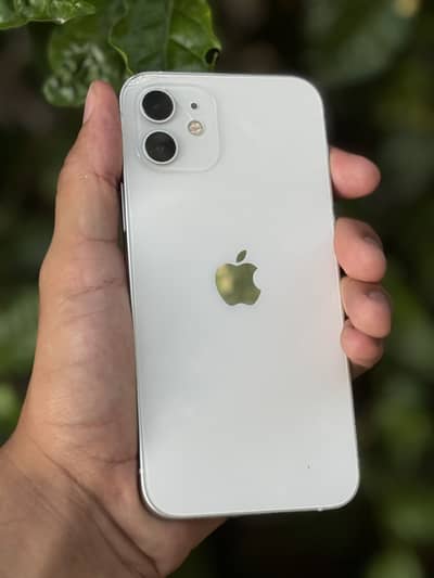 Apple iPhone 12