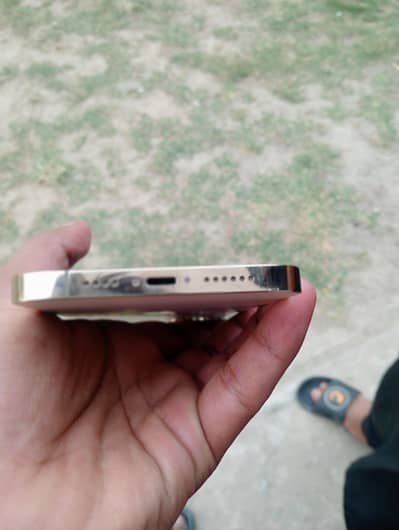 Apple iPhone 12 Pro Max