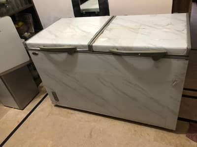 Waves 2 Door Deepfreezer