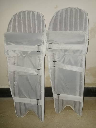 cricket pads payar