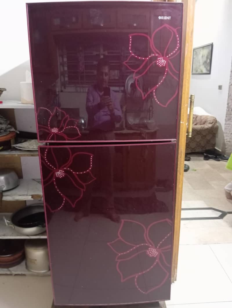 orient fridge medium size 5
