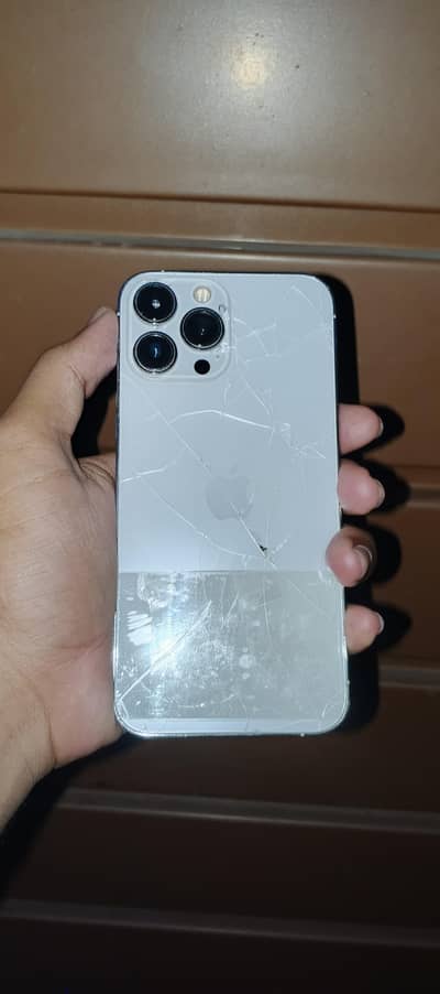 Apple iPhone 13 Pro Max