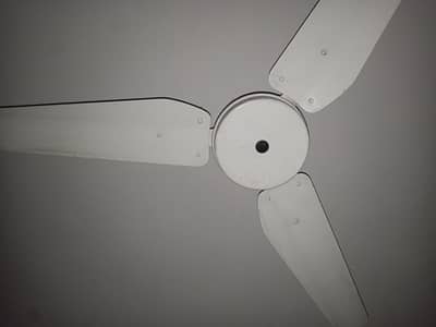 2 ceiling fan