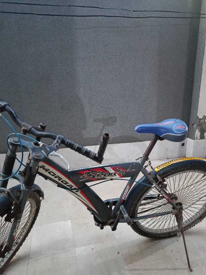 Bicycle 1