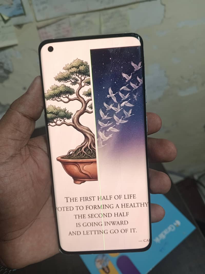One Plus 9 Pro 1