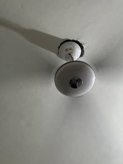 Ceiling fan