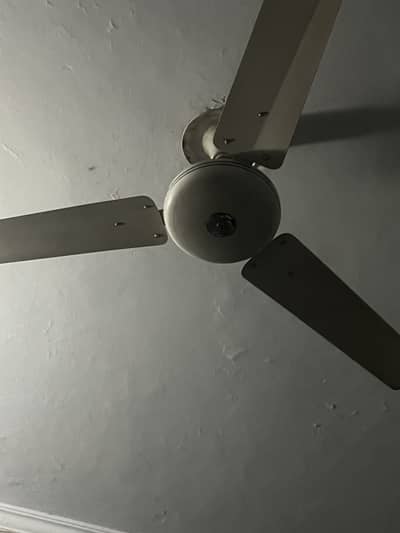 Ceiling fan
