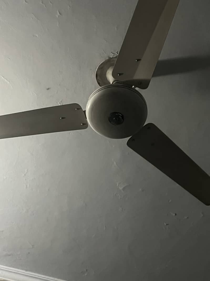 Ceiling fan 1