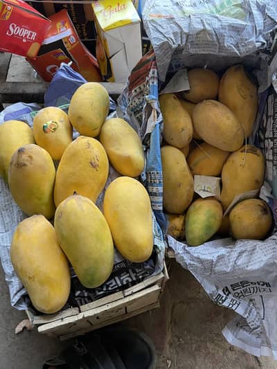 All Type of Fresh Fruits Available