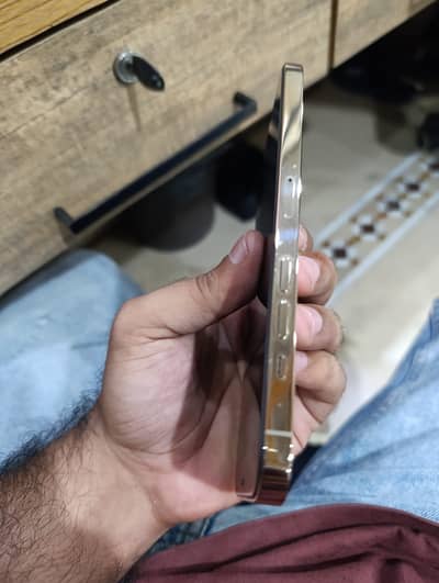 Apple iPhone 12 Pro Max