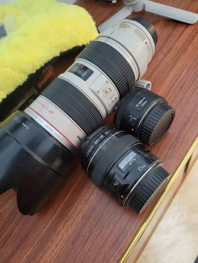 Canon 70-200mm IS f2.8 L | Canon 85mm f1.8 | Canon 50mm stm