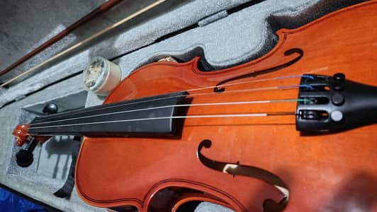 violin for sale