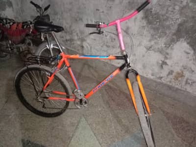 phoenix bicycle