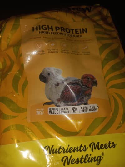 for chew
