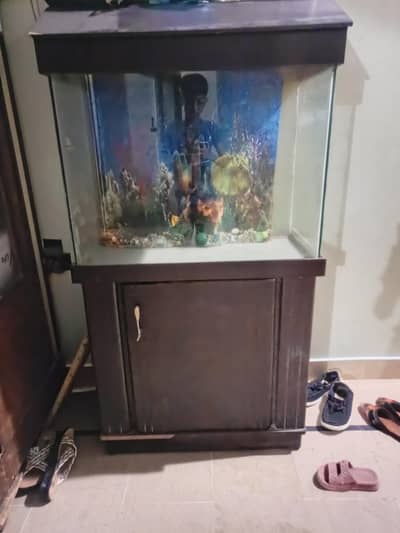 Aquarium for fish with wooden cabinet