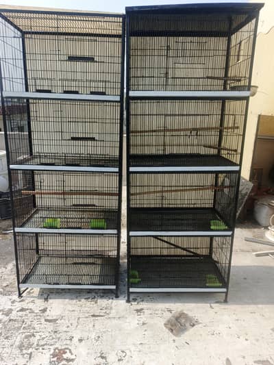 Birds Cage