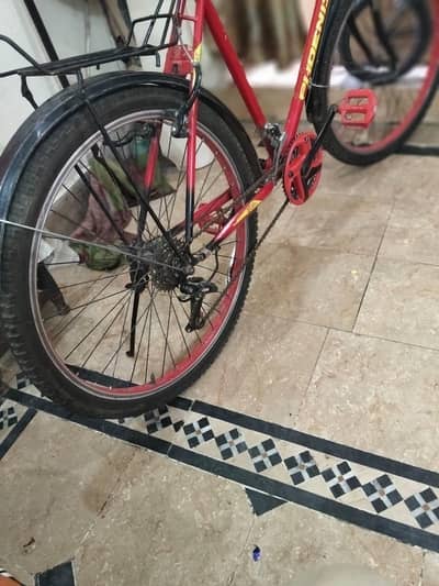 cycle phoneix