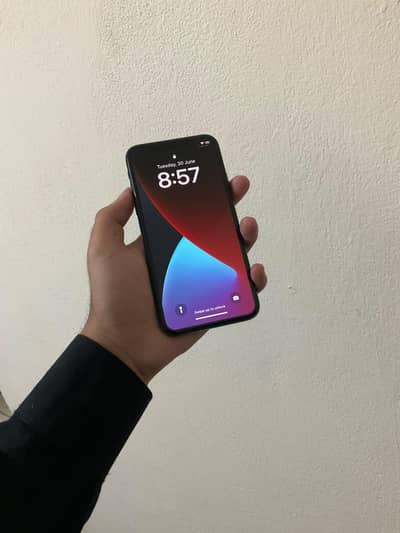 Apple iPhone X
