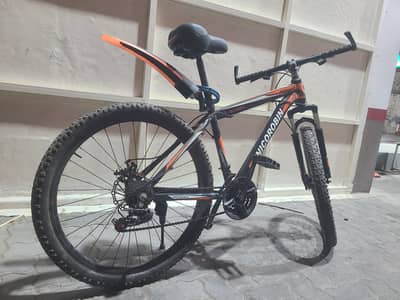 Mountain Bike