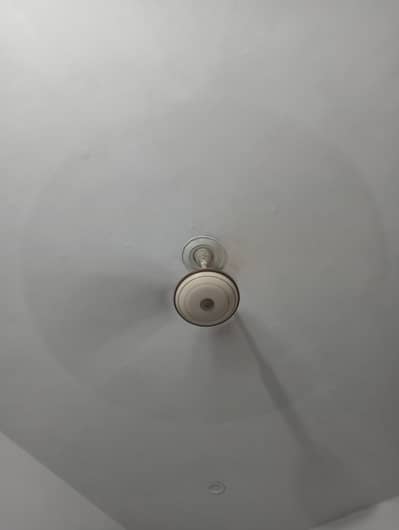 ceiling fans
