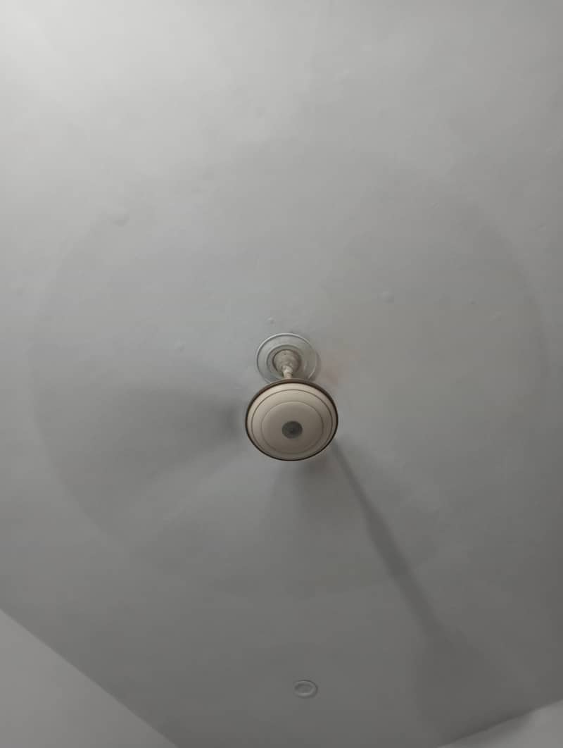 ceiling fans 0