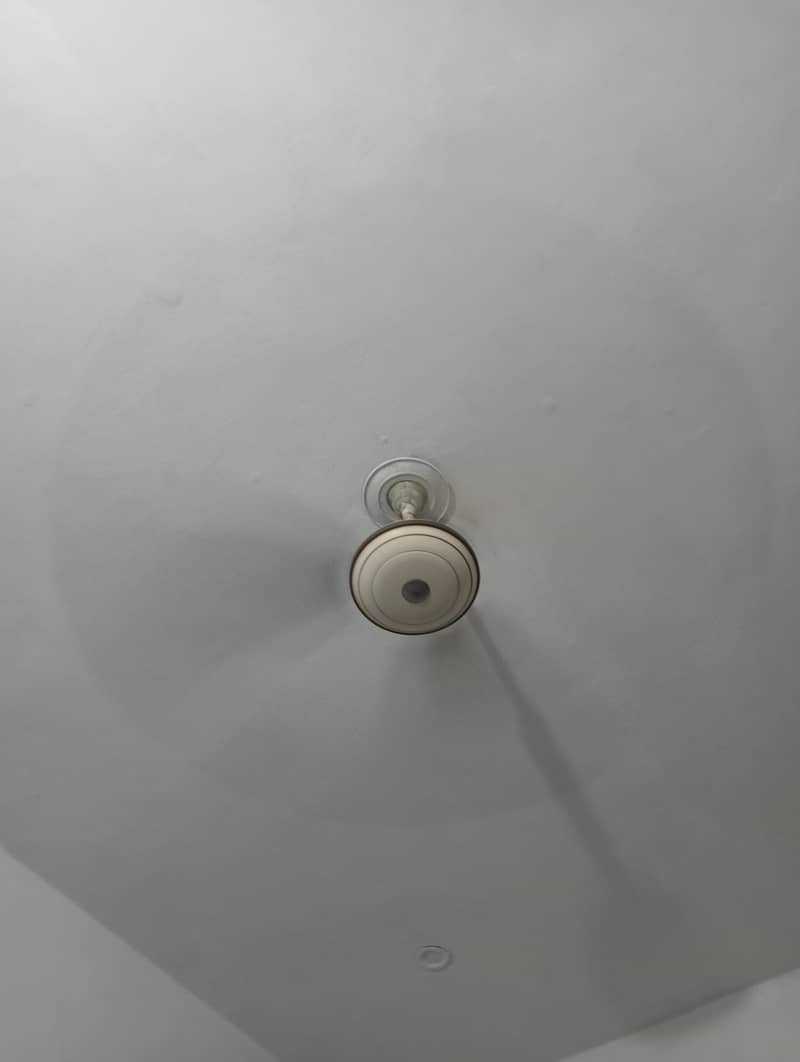 ceiling fans 1