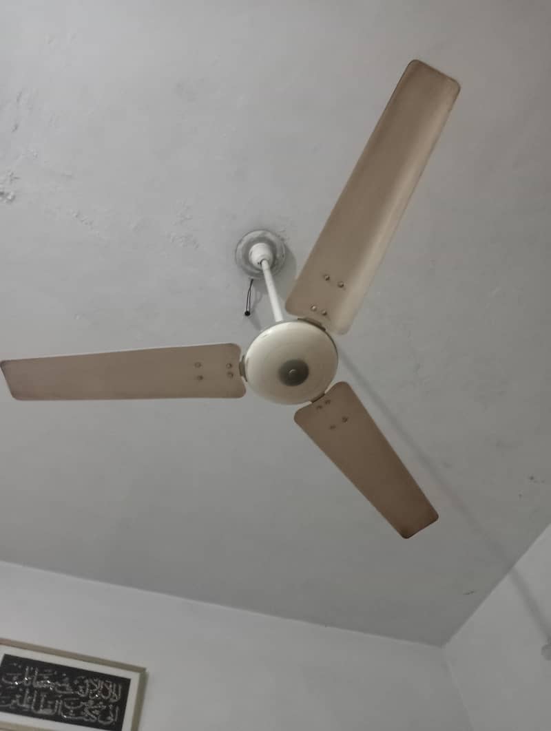 ceiling fans 2