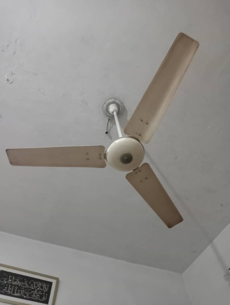 ceiling fans 3