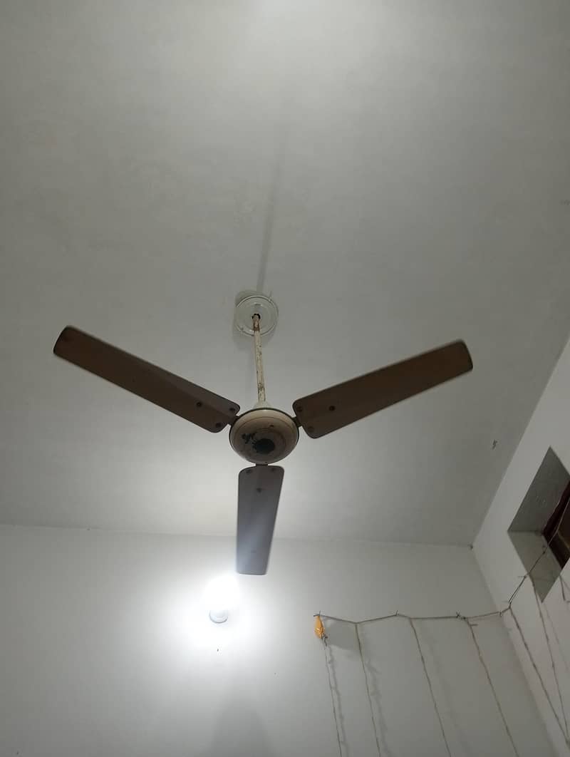 ceiling fans 5