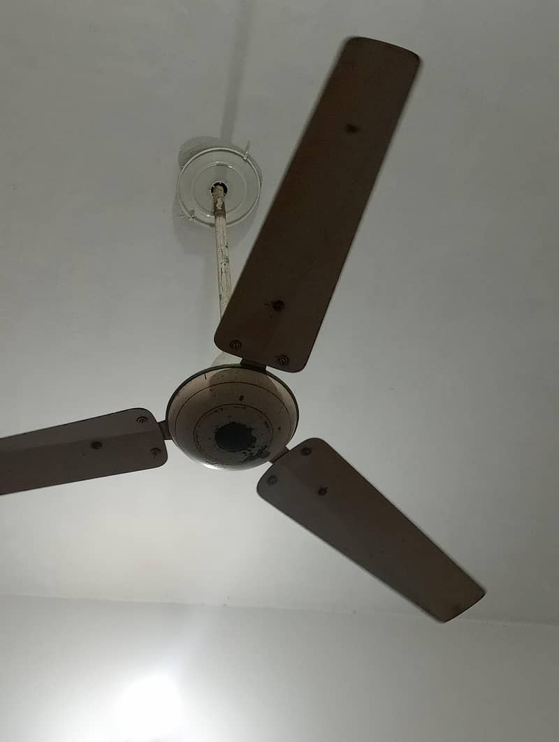 ceiling fans 6