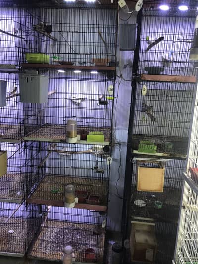 8 portion folding cage