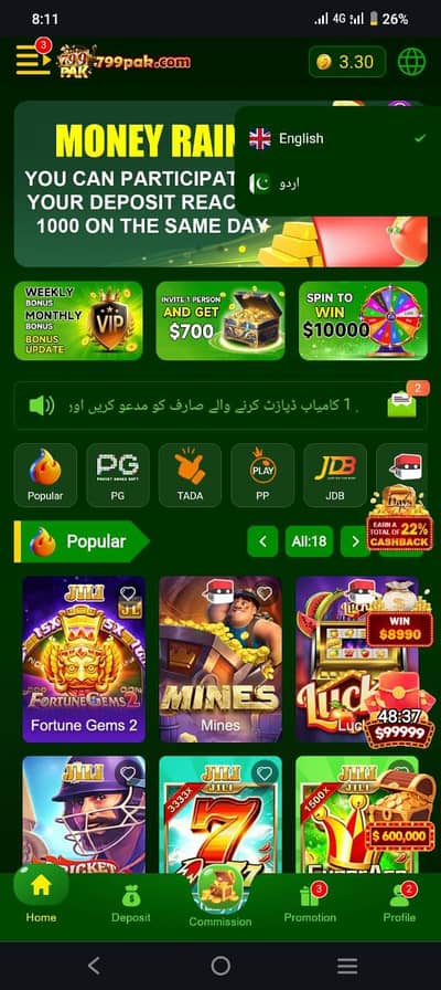 online gaming project from home