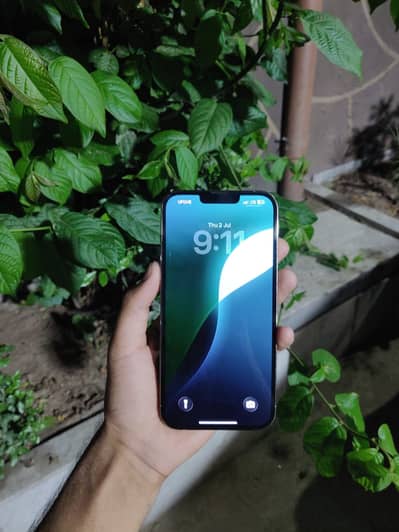 Apple iPhone 13 Pro Max