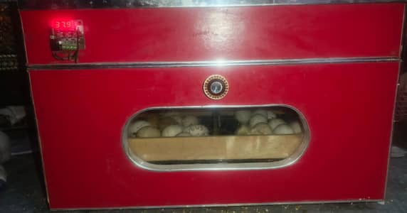 Semi Automatic Incubator For Eggs