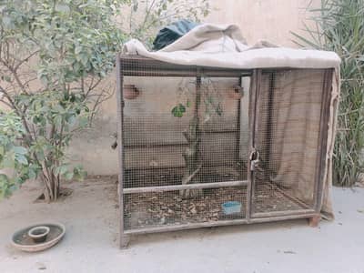 cage for sale